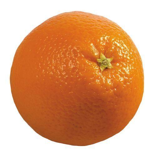 Farm to Fork: Seasonal Fruit Medley